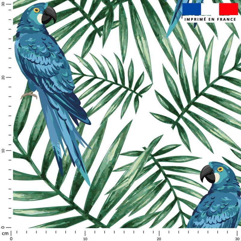 Perroquet Bleu Et Feuille Tropicale Fond Blanc Tissus Price