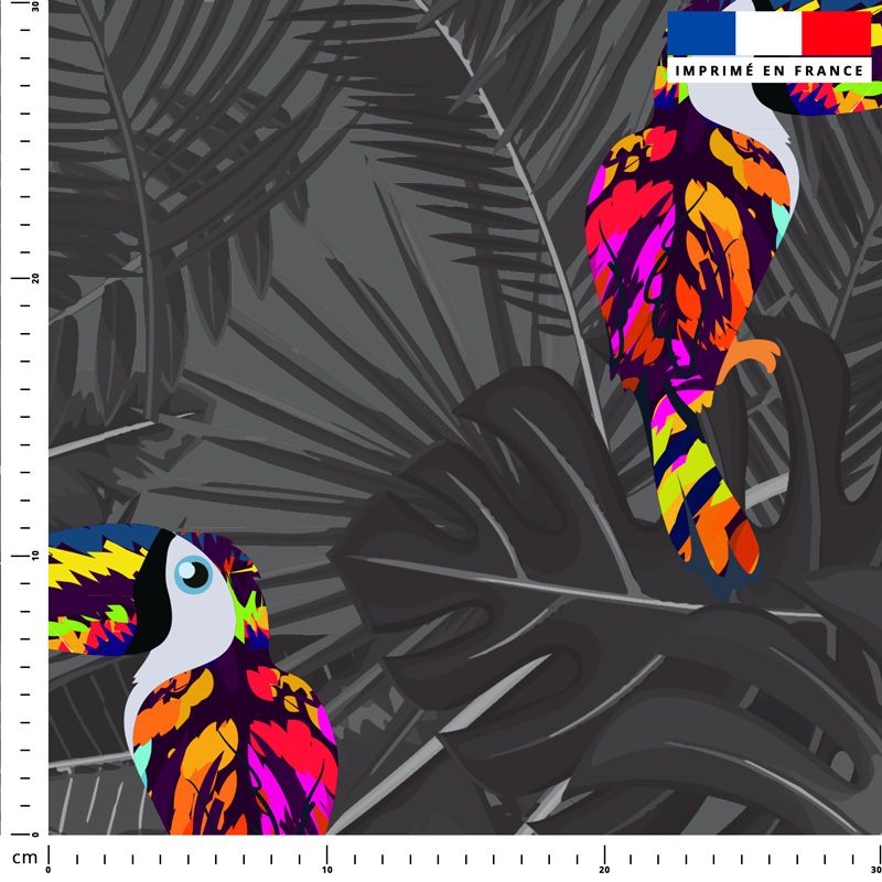 Toucan multicolore et feuille tropicale - Fond gris