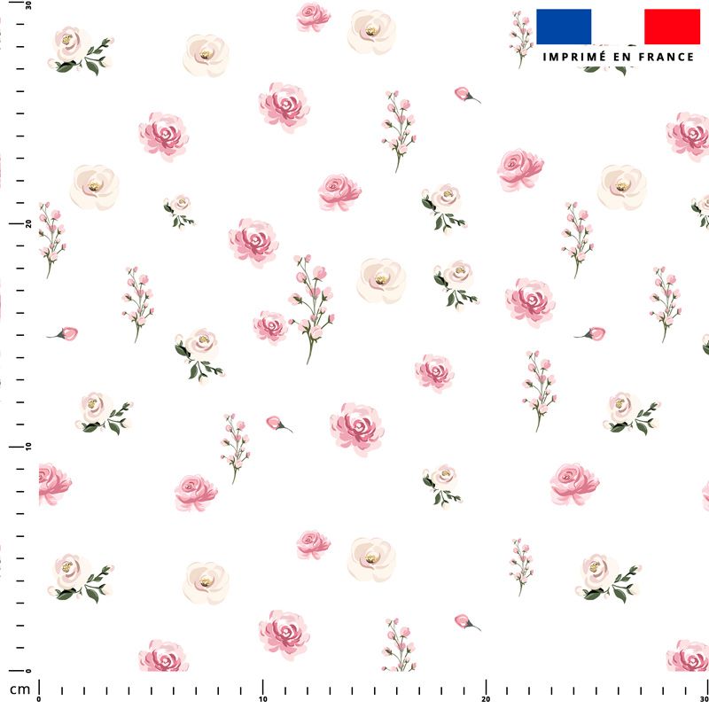 Roses blanches et roses - Fond blanc 