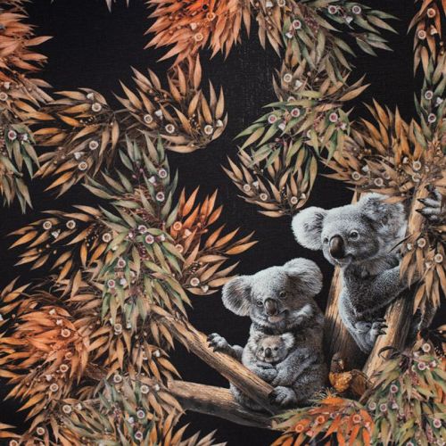 Toile coton imprimée famille koala fond noir Oeko-tex
