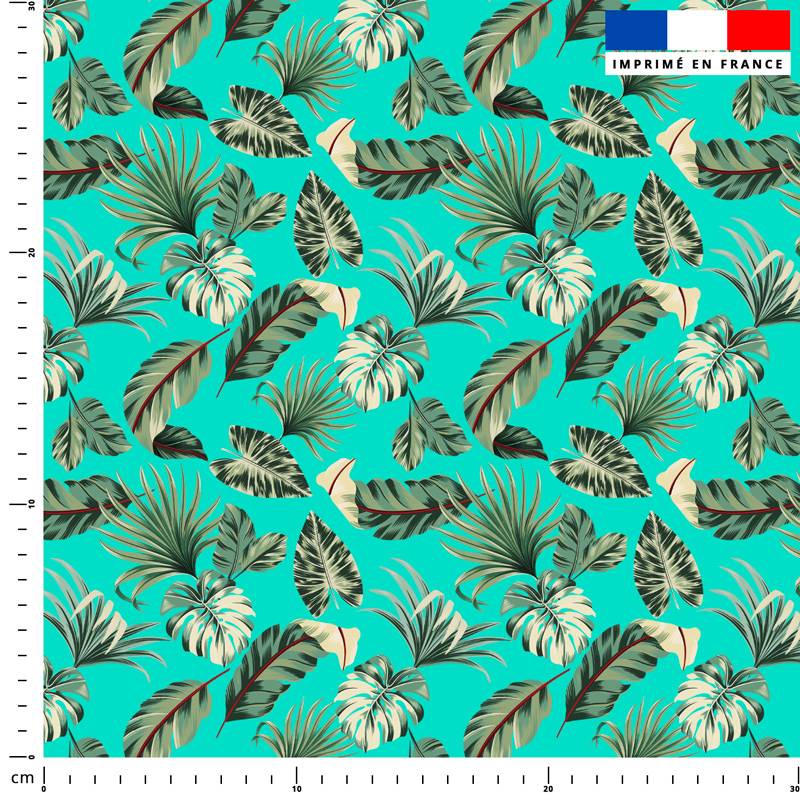 Feuille de palmier verte - Fond bleu turquoise