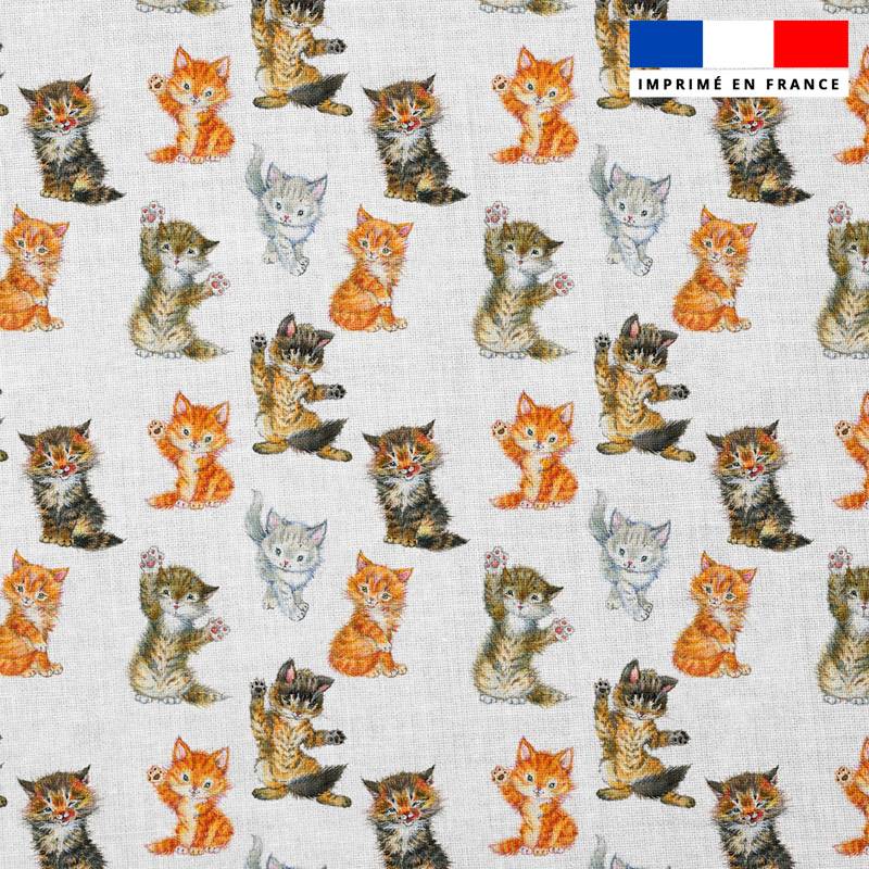 Popeline de coton peigné motif chatons roux gris et tigrés