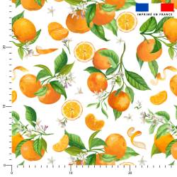 Oranges et fleurs d'oranger - Fond blanc