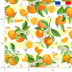 Oranges fleurs d'oranger et rayures jaunes - Fond blanc