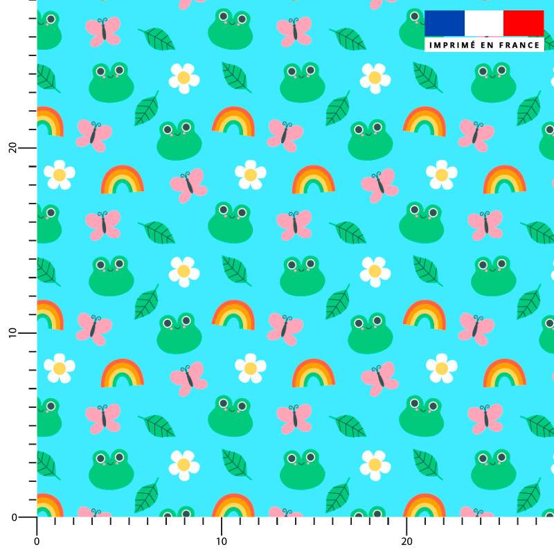 Grenouille et arc-en-ciel - Fond bleu