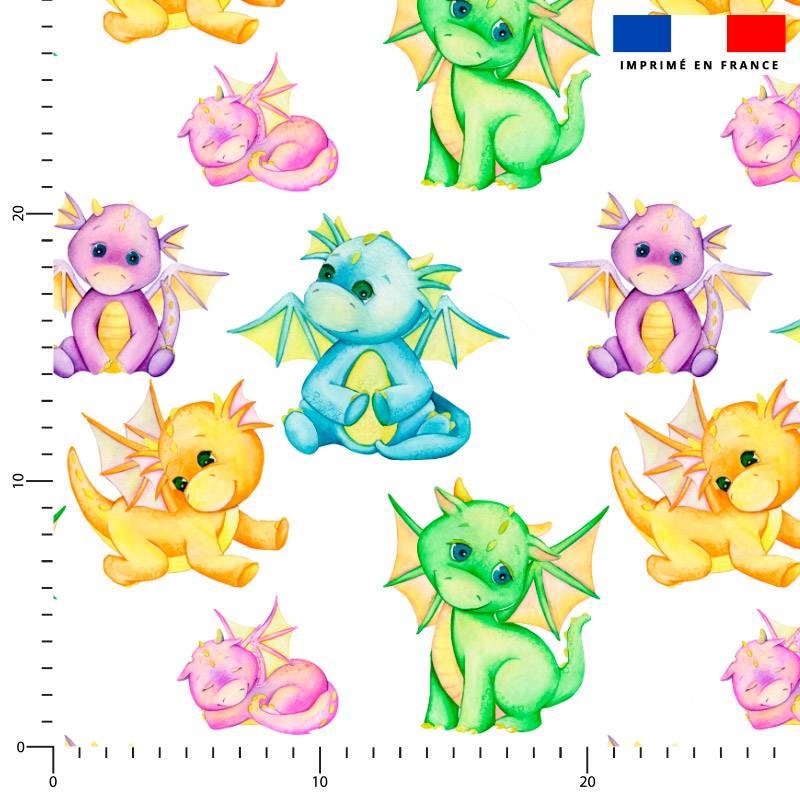 Dragons multicolores - Fond blanc